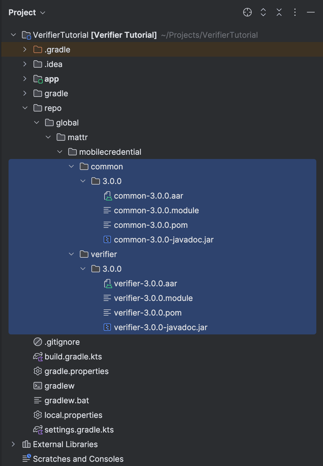 Unzipped files copied
